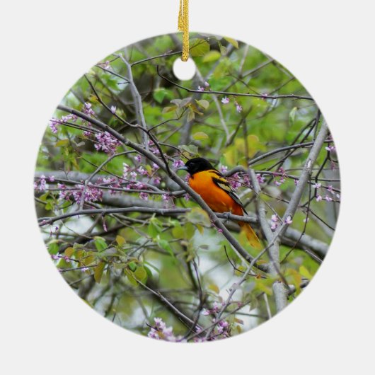 Baltimore Oriole Keramisch Ornament (Achterkant)