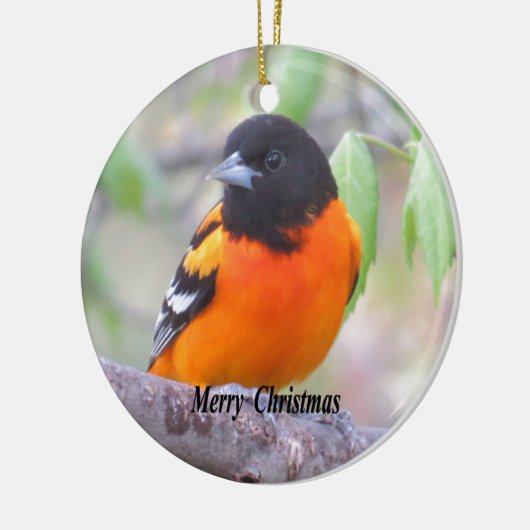 Baltimore Oriole Keramisch Ornament (Links)