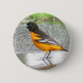 Baltimore Oriole-knop Ronde Button 5,7 Cm (Voorkant)