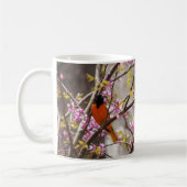 Baltimore Oriole Koffiemok (Links)