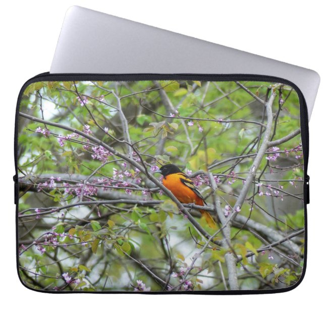 Baltimore Oriole Laptop Sleeve (Voorkant)