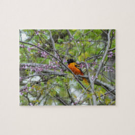 Baltimore Oriole Legpuzzel
