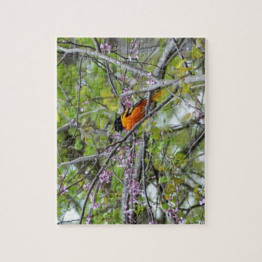 Baltimore Oriole Legpuzzel (Verticaal)
