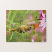 Baltimore Oriole Legpuzzel (Horizontaal)