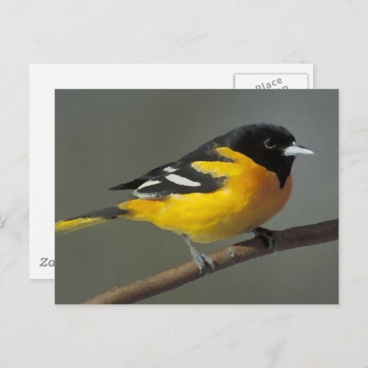 Baltimore Oriole Logo (palet) Briefkaart (Voorkant / Achterkant)