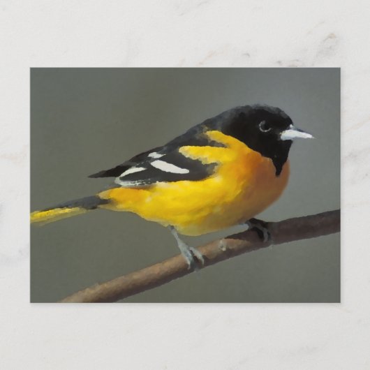 Baltimore Oriole Logo (palet) Briefkaart (Voorkant)