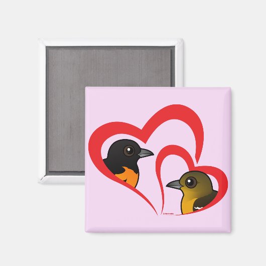 Baltimore Oriole Love Magneet (Voorkant / Achterkant)