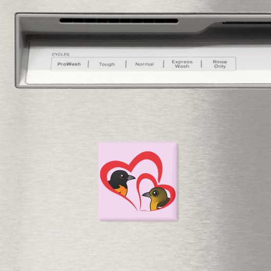 Baltimore Oriole Love Magneet (Insitu (Vaatwasser))