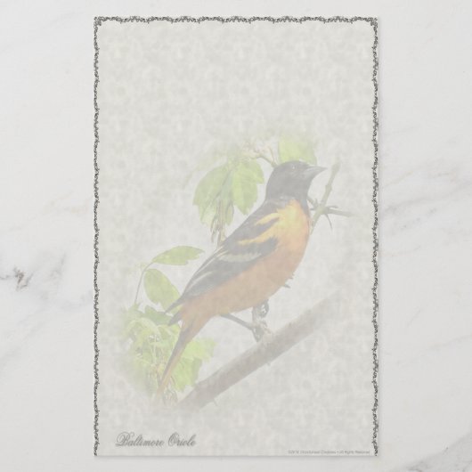 Baltimore Oriole Maatwerk Briefpapier (Voorkant)