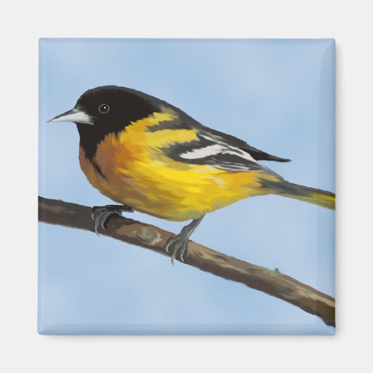 Baltimore Oriole Magnet (Voorkant)