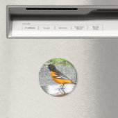 Baltimore Oriole magnet (Insitu (Vaatwasser))