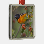 Baltimore Oriole Metalen Ornament (Rechts)