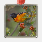 Baltimore Oriole Metalen Ornament (Voorkant)