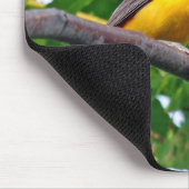 Baltimore Oriole Mousepad Muismat (Hoek)