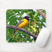 Baltimore Oriole Mousepad Muismat (Met muis)