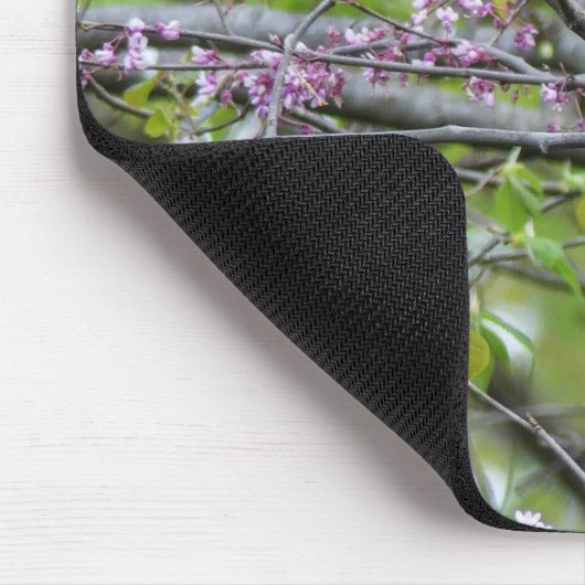 Baltimore Oriole Muismat (Hoek)