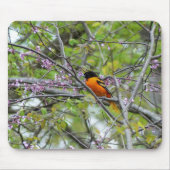 Baltimore Oriole Muismat (Voorkant)