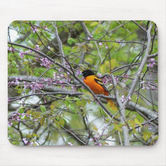 Baltimore Oriole Muismat (Voorkant)