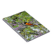 Baltimore Oriole Notitieboek (Rechterzijde)