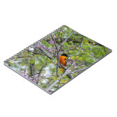 Baltimore Oriole Notitieboek (Linkerzijde)