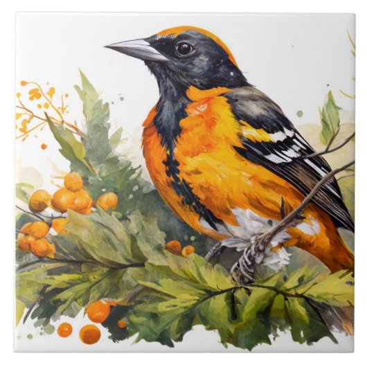 Baltimore Oriole op een tak van bessen Tegeltje (Voorkant)