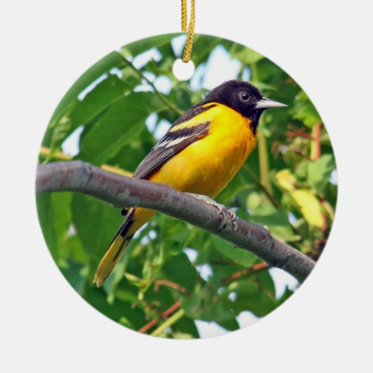 Baltimore Oriole Ornament (Voorkant)