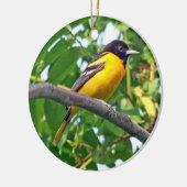 Baltimore Oriole Ornament (Links)