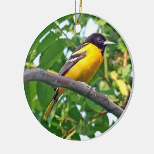 Baltimore Oriole Ornament (Links)
