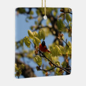 Baltimore Oriole Ornament (Rechts)