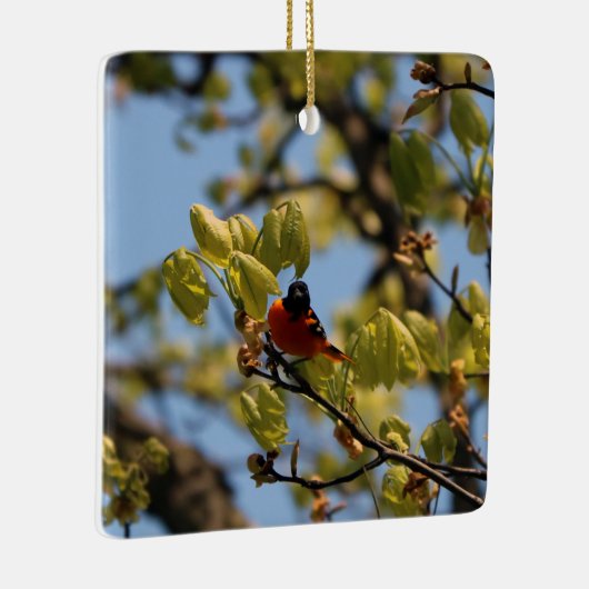 Baltimore Oriole Ornament (Rechts)