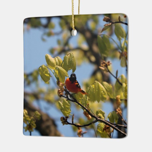 Baltimore Oriole Ornament (Links)