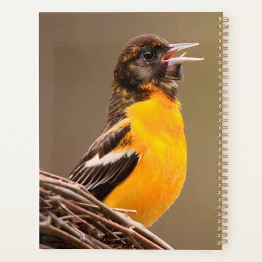 Baltimore Oriole Planner (Achterkant)