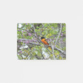 Baltimore Oriole Post-it® Notes (Voorkant)