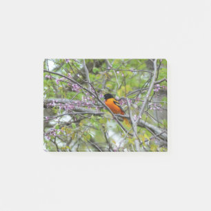 Baltimore Oriole Post-it® Notes