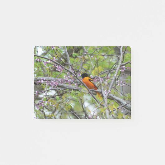 Baltimore Oriole Post-it® Notes (Voorkant)