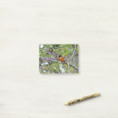 Baltimore Oriole Post-it® Notes (Op bureau)