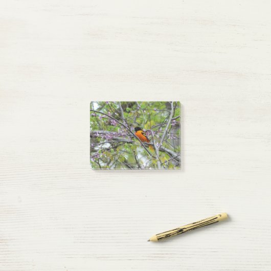 Baltimore Oriole Post-it® Notes (Op bureau)