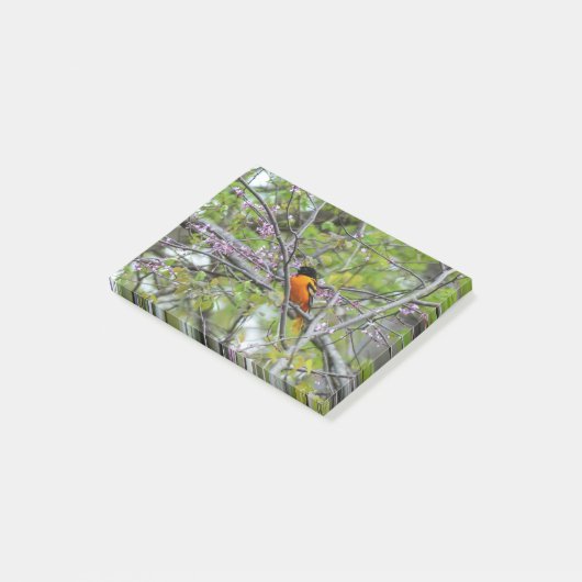 Baltimore Oriole Post-it® Notes (Schuin)