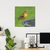 Baltimore Oriole Poster (Thuiskantoor)