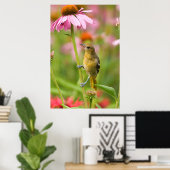 Baltimore Oriole Poster (Thuiskantoor)