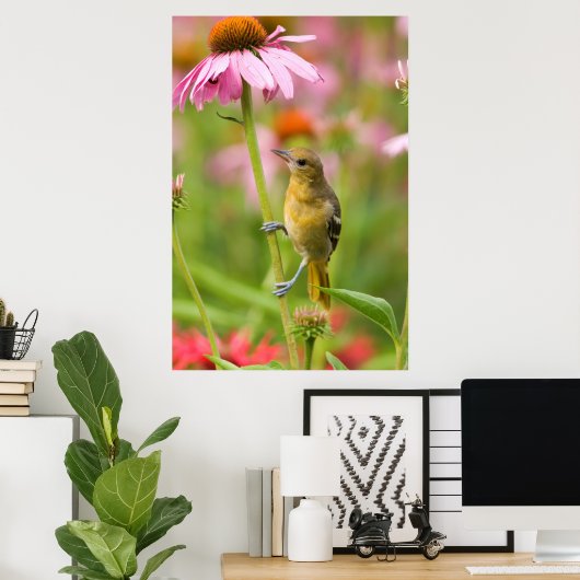 Baltimore Oriole Poster (Thuiskantoor)