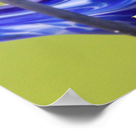 Baltimore Oriole Poster (Hoek)