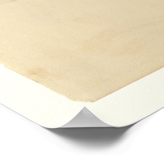 Baltimore Oriole Poster (Hoek)