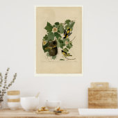 Baltimore Oriole Poster (Keuken)