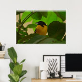 Baltimore Oriole Poster (Thuiskantoor)