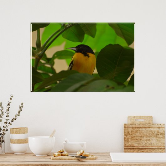 Baltimore Oriole Poster (Keuken)