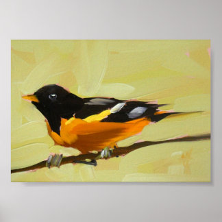 baltimore oriole print 5 x 7-inch afdrukken