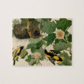 Baltimore Oriole Rare Audubon Legpuzzel (Horizontaal)