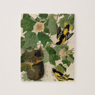 Baltimore Oriole Rare Audubon Legpuzzel