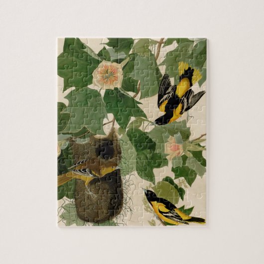 Baltimore Oriole Rare Audubon Legpuzzel (Verticaal)